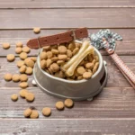 Os cães podem comer comida de gato? Riscos e Benefícios